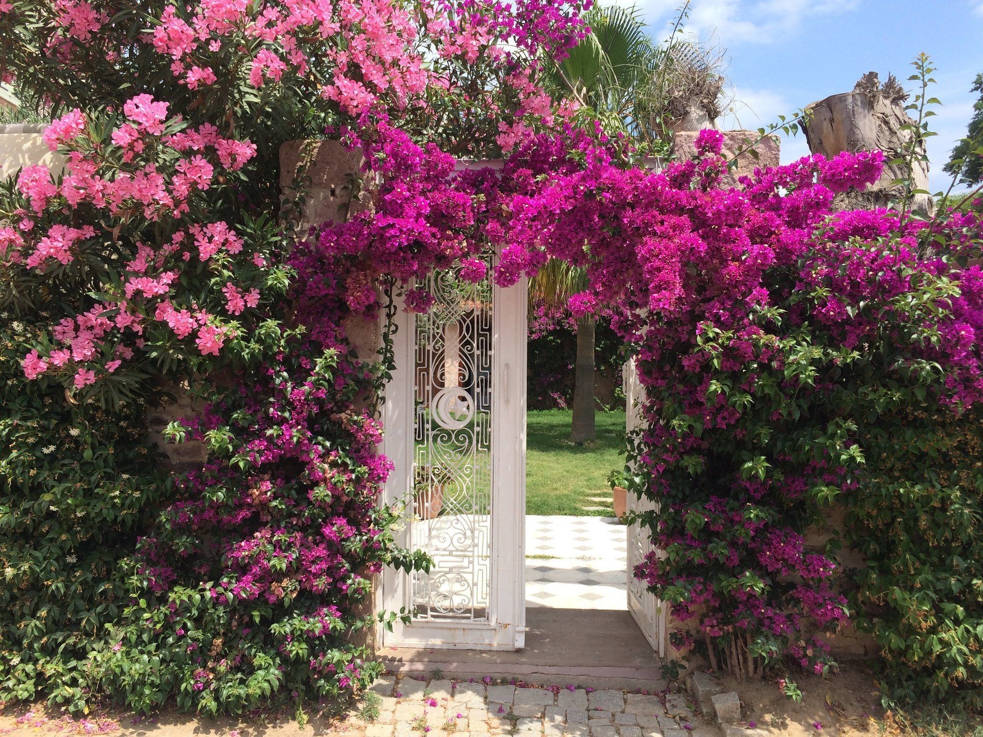 Cunda Has Konak Butik Otel Ayvalik Exterior photo